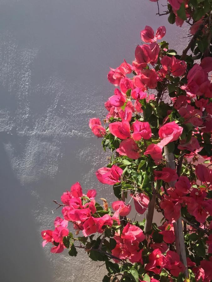 Aparthotel Yakinthos Residencia Mykonos Town Exterior foto
